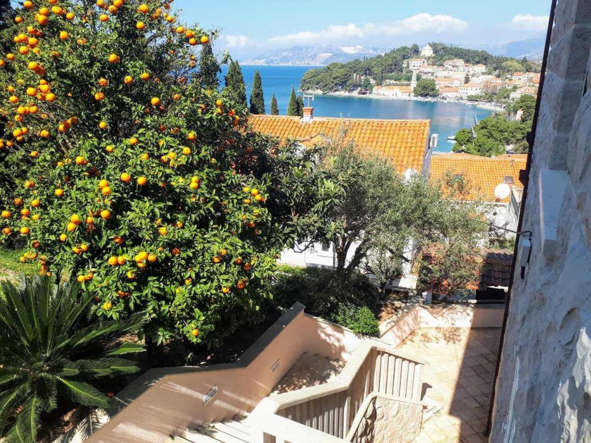 City Apartments Bobic Cavtat Kültér fotó